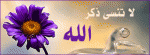 أسئلة الملحدين Habib-bd0382