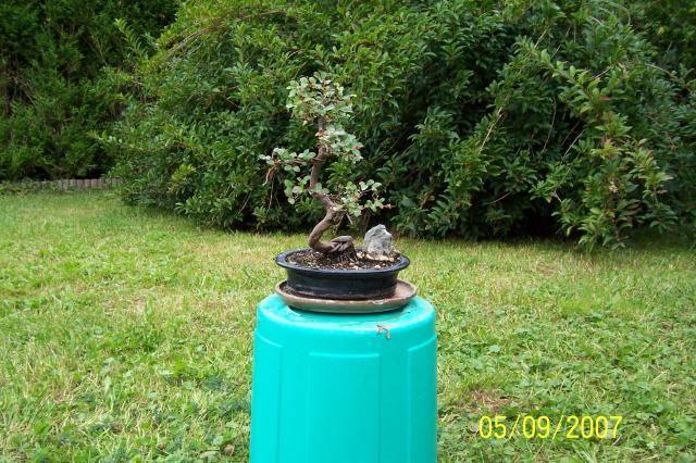 Image: 100_5447-3554c3.jpg