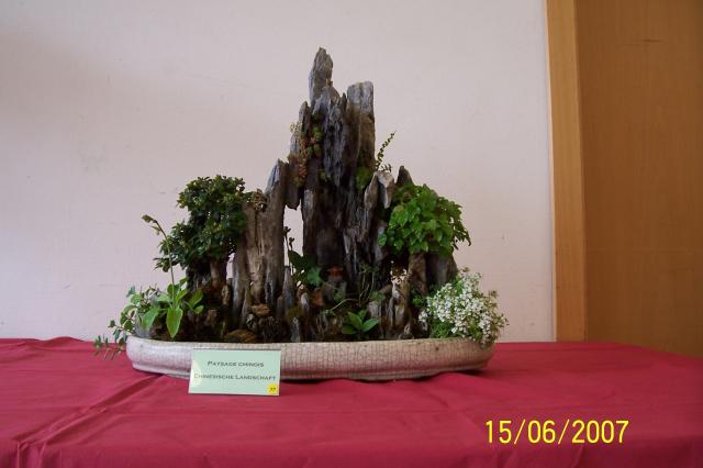 Image: 100_6928-420ae0.jpg
