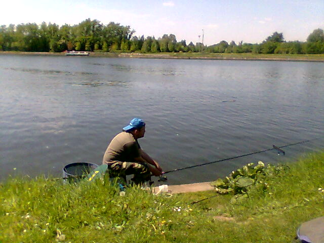 Image: photo007-33b8b9.jpg