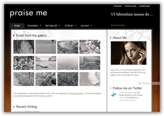 August 2009 Joomla Template Praise