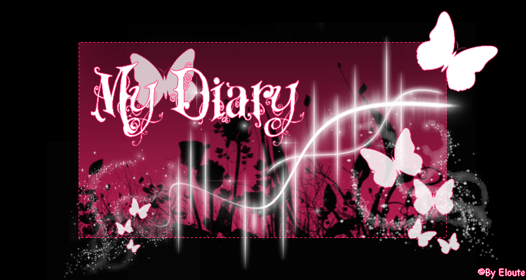 ���.���`�)�  My Diary �(���`�.���