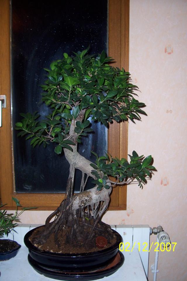 Image: 100_5788-355423.jpg