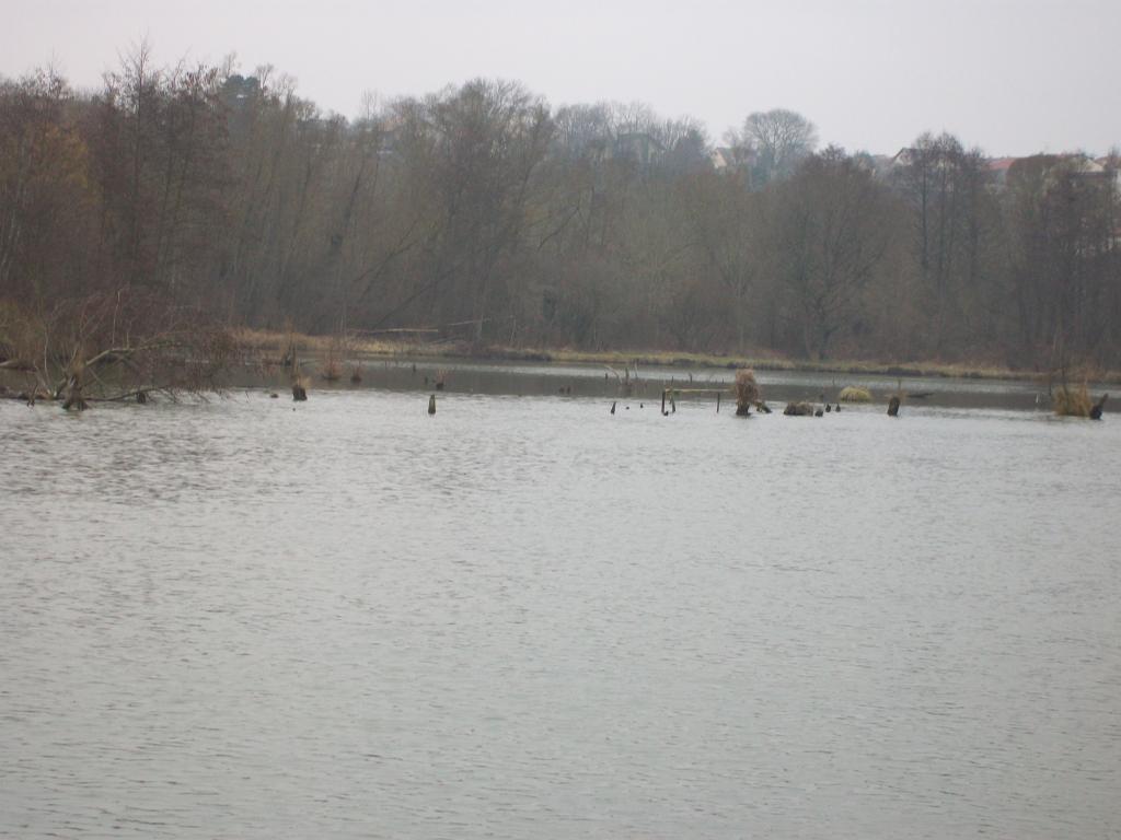 petite sortie pêche au silure G-bb3277