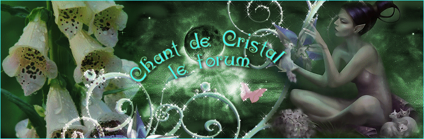  Forum Index