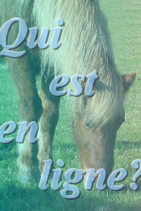 Qui est en ligne ?