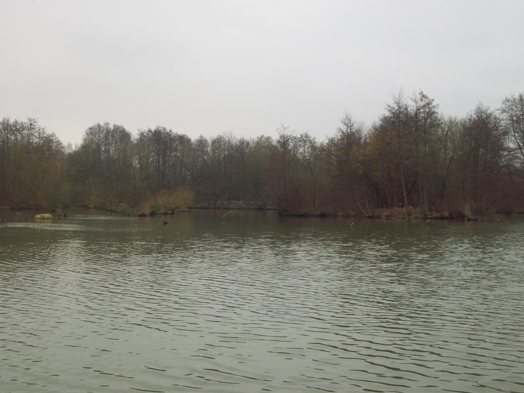 petite sortie pêche au silure D-bb31f3