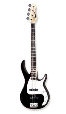 Image: bass_b-3d16d9.jpg