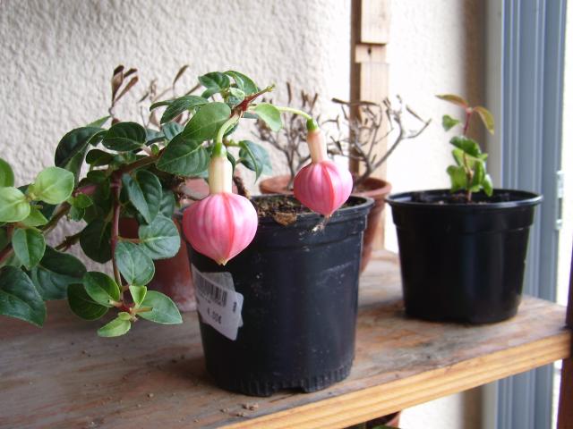 Image: sa550422-445e55.jpg