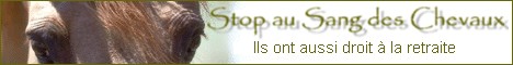 Image: ban.stop-30597e.jpg