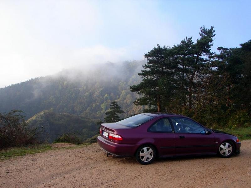 http://img27.xooimage.com/files/e/a/9/coup-automne-004-146f51a.jpg