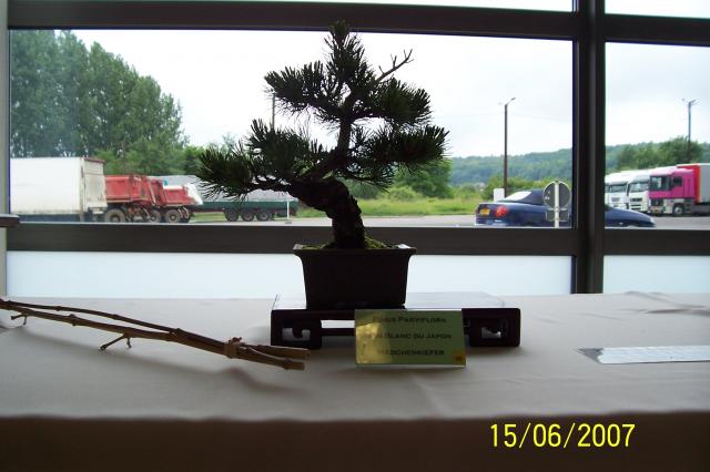Image: 100_6893-42096b.jpg