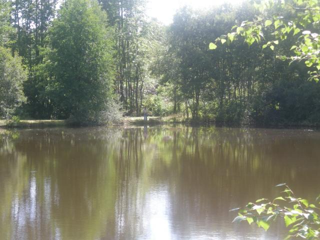 Pêche en haute vienne, la bénéchie ( cussac, chalut) Photo-345-121f608