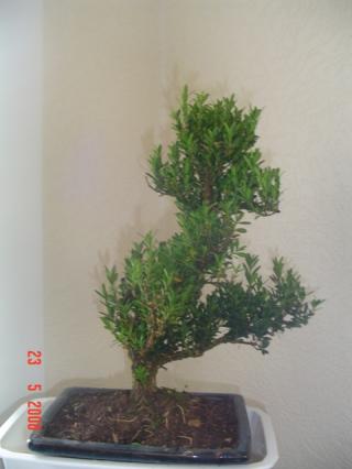 Image: dsc01752-3f676e.jpg