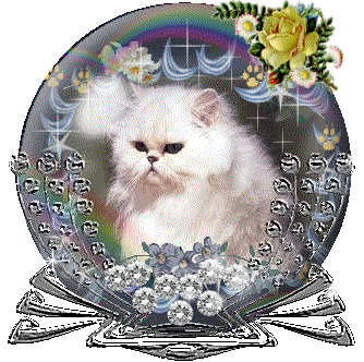 http://img27.xooimage.com/files/6/5/a/ki8t0f5e-4ab7e6.gif